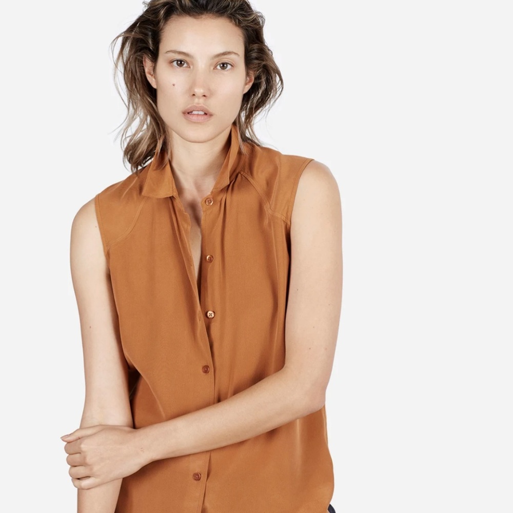 Everlane Silk Sleeveless Rust Orange Blouse, Small